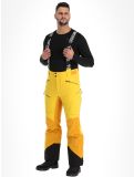 Miniatura Tenson, Aerismo pantaloni da sci uomo Spectra yellow giallo 