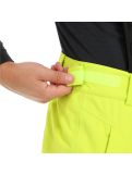 Miniatura Tenson, Radient pantaloni da sci uomo light verde