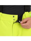 Miniatura Tenson, Radient pantaloni da sci uomo light verde