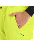 Miniatura Tenson, Radient pantaloni da sci uomo light verde