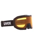 Miniatura Uvex, Evidnt Attract Cv Dl/fm mascherina da sci unisex Black Matt / Mirror Copper marrone, nero 