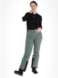 Miniatura Whistler, Drizzle pantaloni da sci donna Laurel Wreath verde 