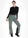 Miniatura Whistler, Drizzle pantaloni da sci donna Laurel Wreath verde 