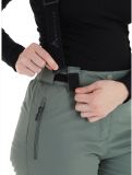 Miniatura Whistler, Drizzle pantaloni da sci donna Laurel Wreath verde 