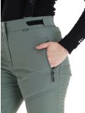 Miniatura Whistler, Drizzle pantaloni da sci donna Laurel Wreath verde 