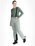 Miniatura Whistler, Drizzle pantaloni da sci donna Slate Gray grigio 