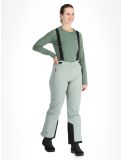 Miniatura Whistler, Drizzle pantaloni da sci donna Slate Gray grigio 