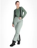 Miniatura Whistler, Drizzle pantaloni da sci donna Slate Gray grigio 