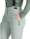 Miniatura Whistler, Drizzle pantaloni da sci donna Slate Gray grigio 