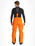 Miniatura Whistler, Drizzle pantaloni da sci uomo Autumn Maple arancio 