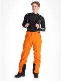 Miniatura Whistler, Drizzle pantaloni da sci uomo Autumn Maple arancio 