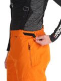 Miniatura Whistler, Drizzle pantaloni da sci uomo Autumn Maple arancio 