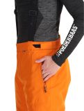 Miniatura Whistler, Drizzle pantaloni da sci uomo Autumn Maple arancio 