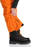 Miniatura Whistler, Drizzle pantaloni da sci uomo Autumn Maple arancio 