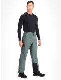 Miniatura Whistler, Drizzle pantaloni da sci uomo Balsam Green verde 