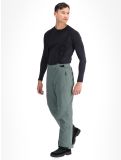 Miniatura Whistler, Drizzle pantaloni da sci uomo Balsam Green verde 