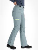 Miniatura Rehall, Kyle-R pantaloni da sci donna Trooper grigio 