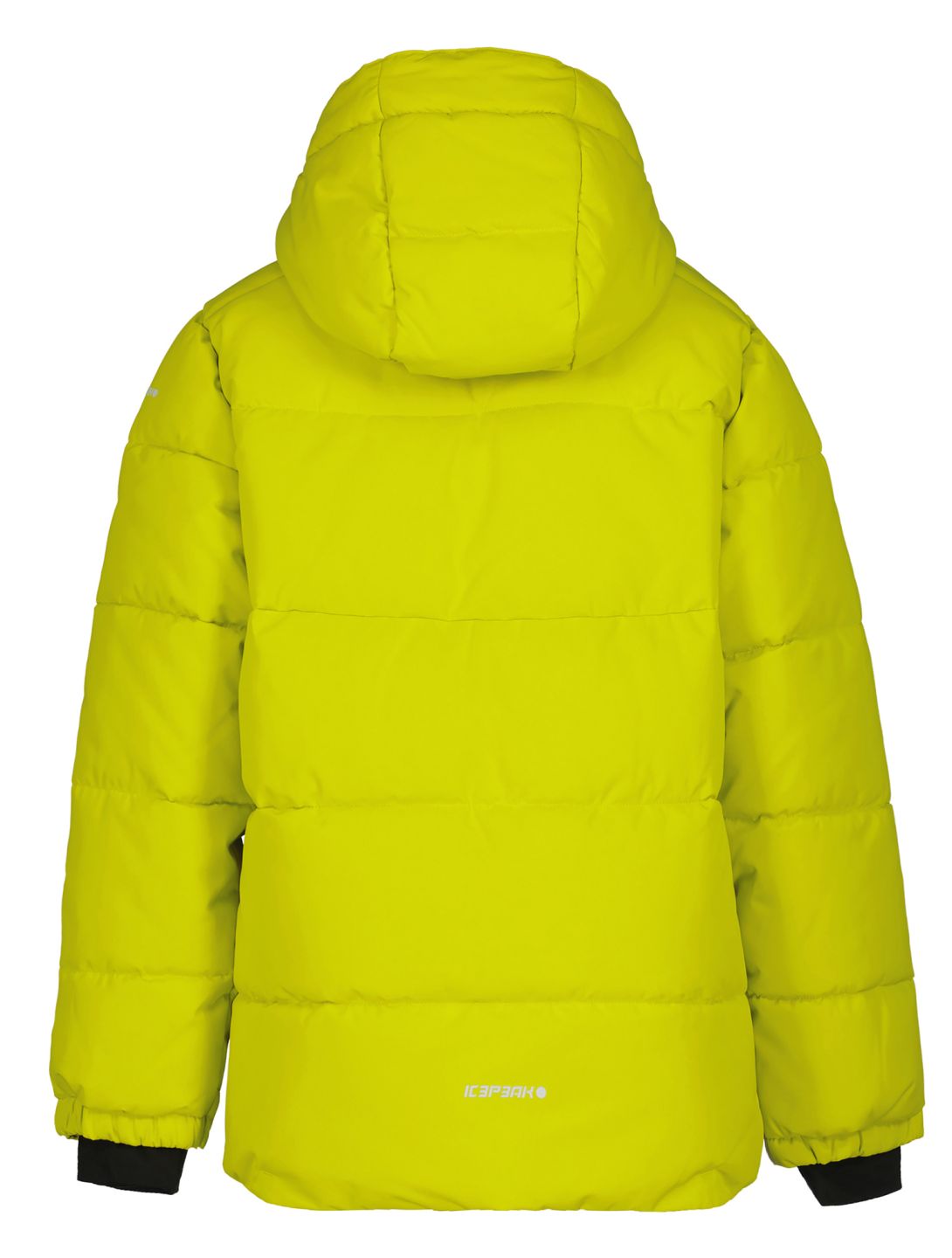 Icepeak, Louin JR giacca sci bambino Aloe verde 