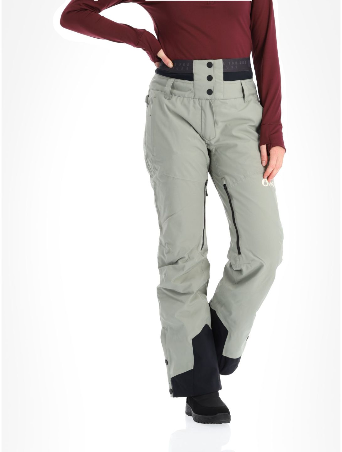 Picture, Exa pantaloni da sci donna Shadow grigio 